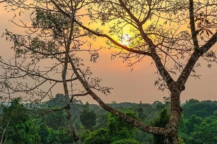 Framed Print : Aerial Amazon Rainforest landscape at sunset comprising the countries Brazil Framed Print : Aerial Amazon Rainforest landscape at sunset comprising the countries Brazil