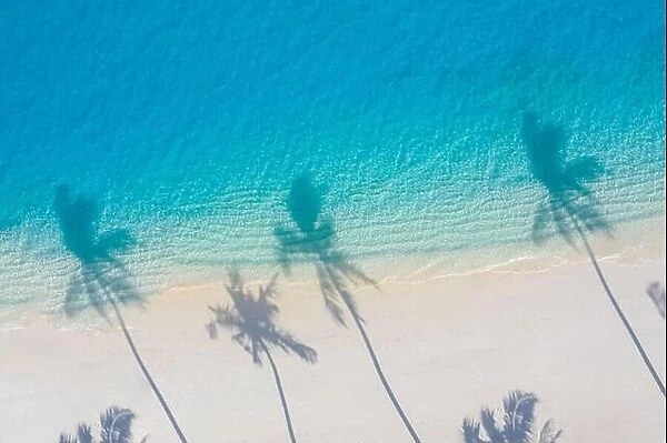 Aerial beach, beautiful coastline. Palm trees and amazing sea lagoon. Turquoise water, white sand with palm tree shadow, sunny day, tropical paradise