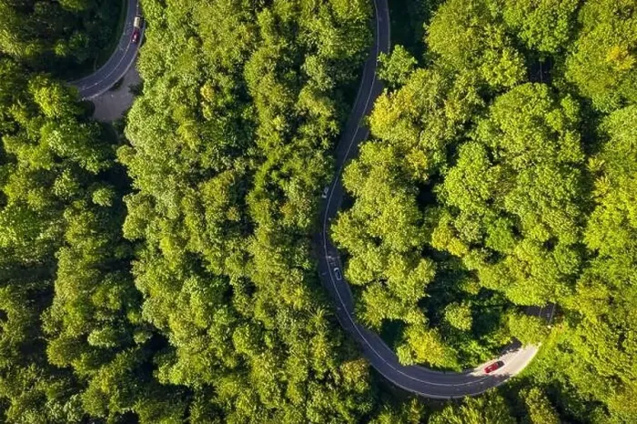 Framed Print : Aerial of driving cars through a green Framed Print : Aerial of driving cars through a green
