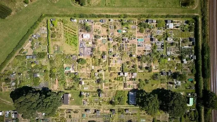 Framed Print : Aerial drone birdseye view of allotments gardens in Norfolk Framed Print : Aerial drone birdseye view of allotments gardens in Norfolk