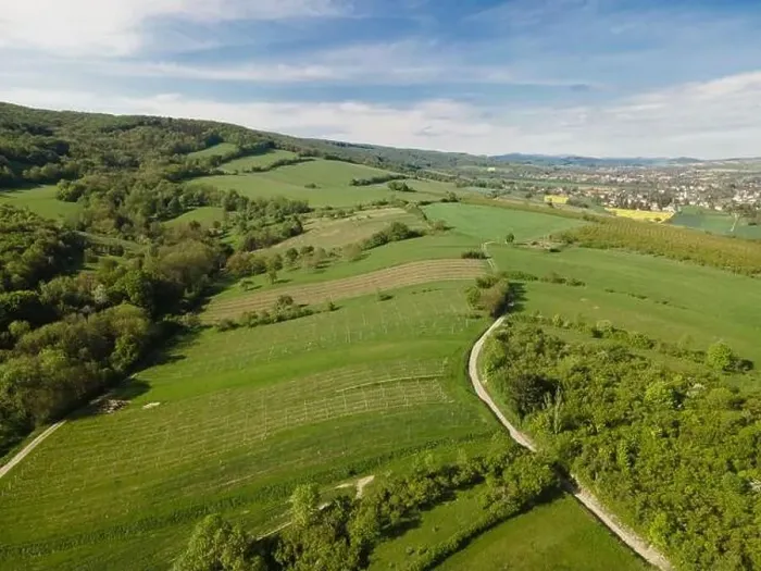 Framed Print : aerial drone flight over green meadows and forest in lower austria Framed Print : aerial drone flight over green meadows and forest in lower austria