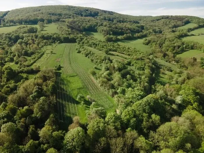 Framed Print : aerial drone flight over green meadows and forest in lower austria