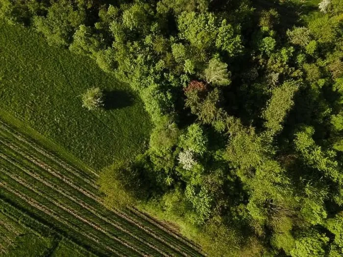 Framed Print : aerial drone flight over green meadows and forest in lower austria Framed Print : aerial drone flight over green meadows and forest in lower austria