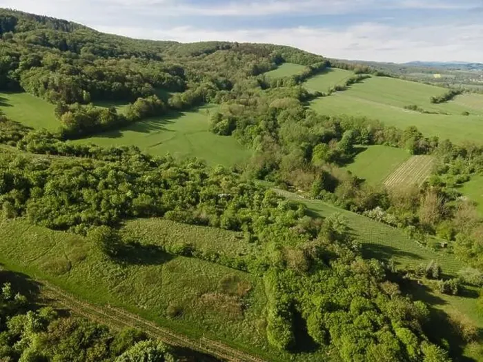 Framed Print : aerial drone flight over green meadows and forest in lower austria