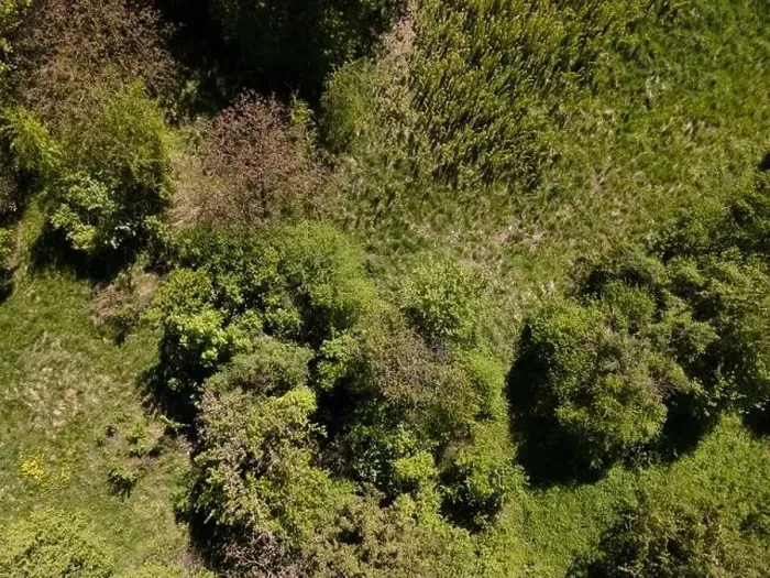 Framed Print : aerial drone flight photo of green hills, meadows and fresh forest in Lower Austria at the edge of Vienna Woods Framed Print : aerial drone flight photo of green hills, meadows and fresh forest in Lower Austria at the edge of Vienna Woods