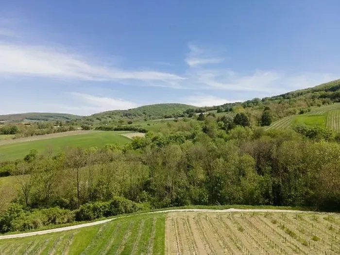 Framed Print : aerial drone flight photo of green hills, meadows and fresh forest in Lower Austria at the edge of Vienna Woods Framed Print : aerial drone flight photo of green hills, meadows and fresh forest in Lower Austria at the edge of Vienna Woods