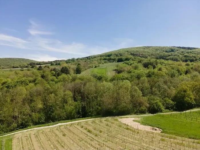 Framed Print : aerial drone flight photo of green hills, meadows and fresh forest in Lower Austria at the edge of Vienna Woods Framed Print : aerial drone flight photo of green hills, meadows and fresh forest in Lower Austria at the edge of Vienna Woods