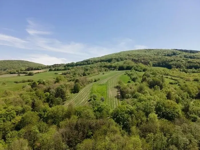 Framed Print : aerial drone flight photo of green hills, meadows and fresh forest in Lower Austria at the edge of Vienna Woods Framed Print : aerial drone flight photo of green hills, meadows and fresh forest in Lower Austria at the edge of Vienna Woods