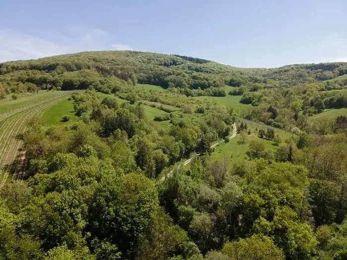 Framed Print : aerial drone flight photo of green hills, meadows and fresh forest in Lower Austria at the edge of Vienna Woods Framed Print : aerial drone flight photo of green hills, meadows and fresh forest in Lower Austria at the edge of Vienna Woods
