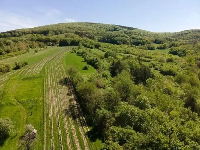 Framed Print : aerial drone flight photo of green hills, meadows and fresh forest in Lower Austria at the edge of Vienna Woods Framed Print : aerial drone flight photo of green hills, meadows and fresh forest in Lower Austria at the edge of Vienna Woods