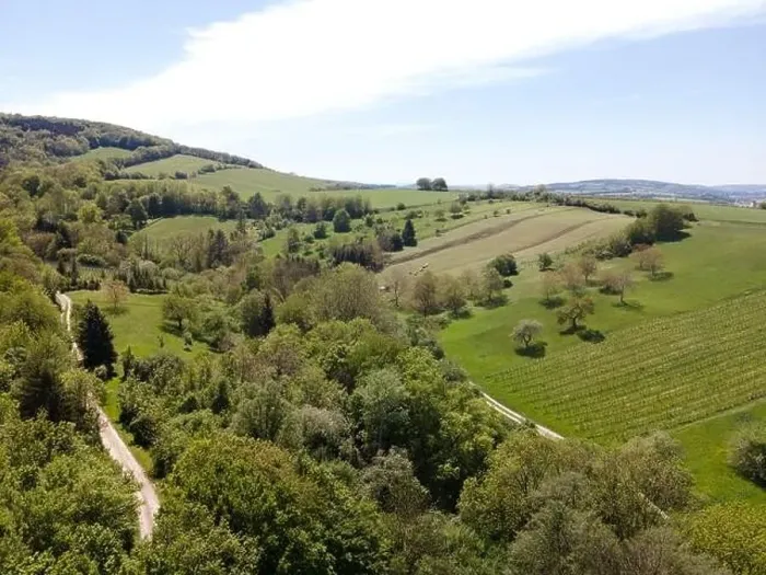 Framed Print : aerial drone flight photo of green hills, meadows and fresh forest in Lower Austria at the edge of Vienna Woods Framed Print : aerial drone flight photo of green hills, meadows and fresh forest in Lower Austria at the edge of Vienna Woods