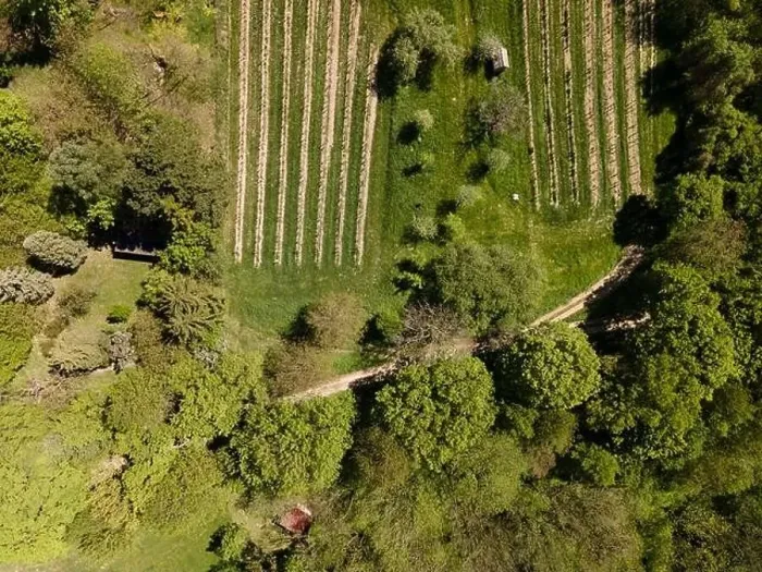Framed Print : aerial drone flight photo of green hills, meadows and fresh forest in Lower Austria at the edge of Vienna Woods Framed Print : aerial drone flight photo of green hills, meadows and fresh forest in Lower Austria at the edge of Vienna Woods