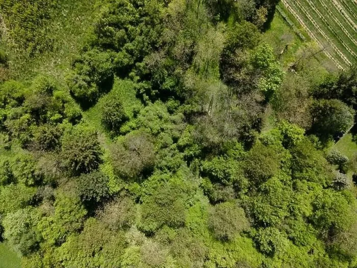 Framed Print : aerial drone flight photo of green hills, meadows and fresh forest in Lower Austria at the edge of Vienna Woods Framed Print : aerial drone flight photo of green hills, meadows and fresh forest in Lower Austria at the edge of Vienna Woods