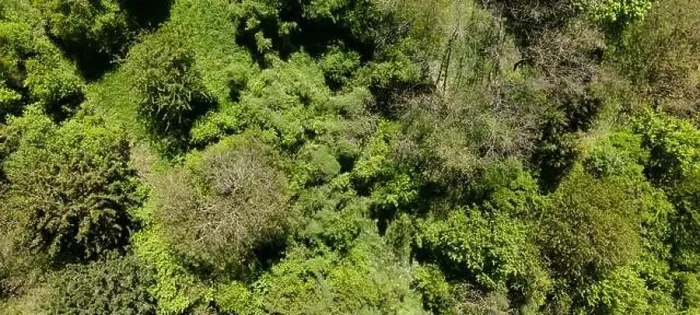 Framed Print : aerial drone flight photo of green hills, meadows and fresh forest in Lower Austria at the edge of Vienna Woods Framed Print : aerial drone flight photo of green hills, meadows and fresh forest in Lower Austria at the edge of Vienna Woods