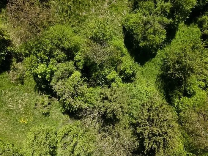 Framed Print : aerial drone flight photo of green hills, meadows and fresh forest in Lower Austria at the edge of Vienna Woods Framed Print : aerial drone flight photo of green hills, meadows and fresh forest in Lower Austria at the edge of Vienna Woods