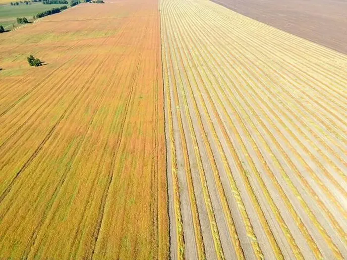 Framed Print : Aerial drone image of fields with diverse crop growth based on principle of polyculture Framed Print : Aerial drone image of fields with diverse crop growth based on principle of polyculture