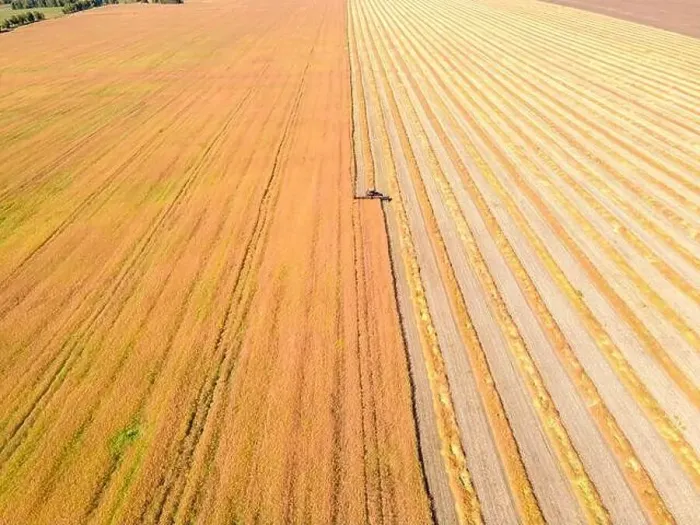 Framed Print : Aerial drone image of fields with diverse crop growth based on principle of polyculture Framed Print : Aerial drone image of fields with diverse crop growth based on principle of polyculture