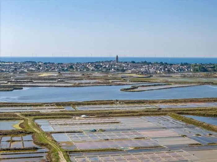 Framed Print : Aerial drone photo of the Guerande Salt Marshes in Bretagne, France Framed Print : Aerial drone photo of the Guerande Salt Marshes in Bretagne, France