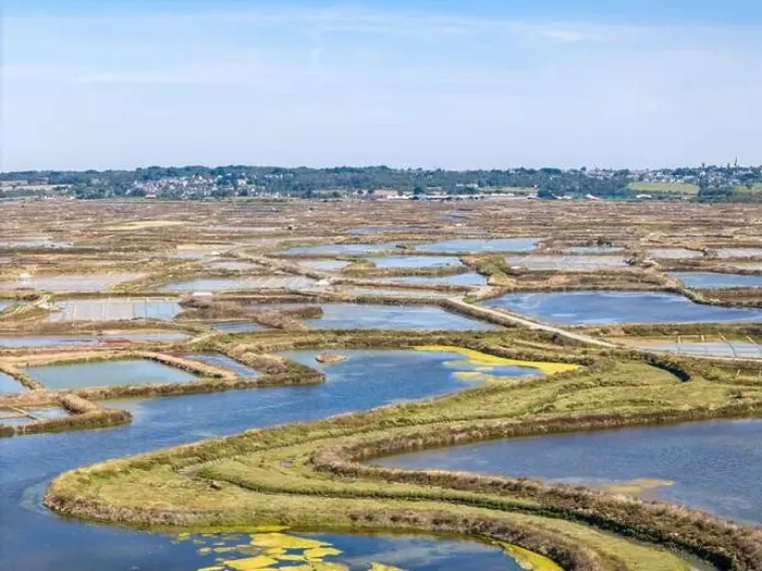 Framed Print : Aerial drone photo of the Guerande Salt Marshes in Bretagne, France Framed Print : Aerial drone photo of the Guerande Salt Marshes in Bretagne, France