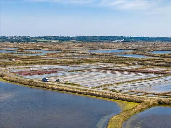 Framed Print : Aerial drone photo of the Guerande Salt Marshes in Bretagne, France Framed Print : Aerial drone photo of the Guerande Salt Marshes in Bretagne, France