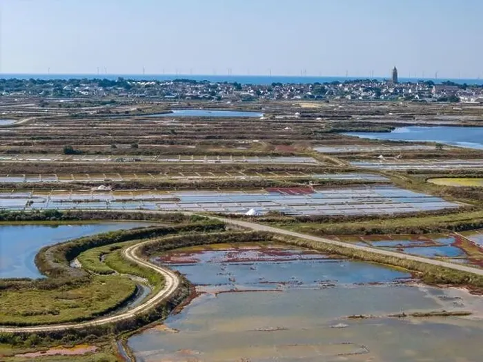 Framed Print : Aerial drone photo of the Guerande Salt Marshes in Bretagne, France Framed Print : Aerial drone photo of the Guerande Salt Marshes in Bretagne, France