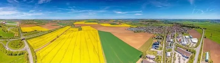 Framed Print : Aerial drone picture of rape field in spring in typical bright yellow color during daytime Framed Print : Aerial drone picture of rape field in spring in typical bright yellow color during daytime