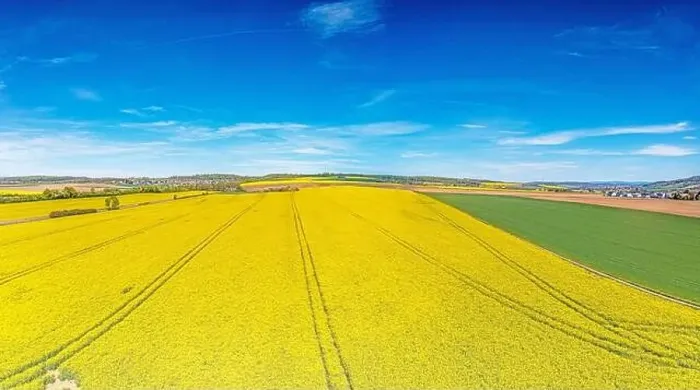 Framed Print : Aerial drone picture of rape field in spring in typical bright yellow color during daytime Framed Print : Aerial drone picture of rape field in spring in typical bright yellow color during daytime