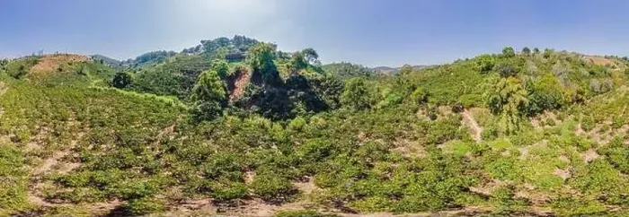 Framed Print : Aerial drone view of a green coffee field in Vietnam Framed Print : Aerial drone view of a green coffee field in Vietnam