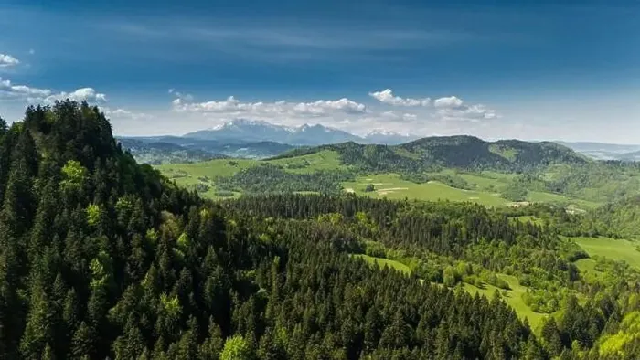 Framed Print : Aerial drone view over green hills of Pieniny National Park and snowy Tatra Mountains Framed Print : Aerial drone view over green hills of Pieniny National Park and snowy Tatra Mountains