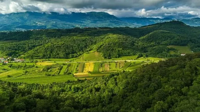 Framed Print : Aerial Drone View of Green Rolling Hills and Vineyards in Vipava Valley Framed Print : Aerial Drone View of Green Rolling Hills and Vineyards in Vipava Valley