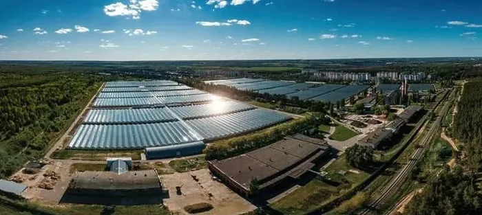 Framed Print : Aerial drone view of modern greenhouse complex Framed Print : Aerial drone view of modern greenhouse complex