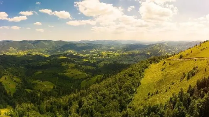 Framed Print : Aerial drone view of picturesque nature with green coniferous forests on the slopes of the mountains in beautiful sunny Framed Print : Aerial drone view of picturesque nature with green coniferous forests on the slopes of the mountains in beautiful sunny