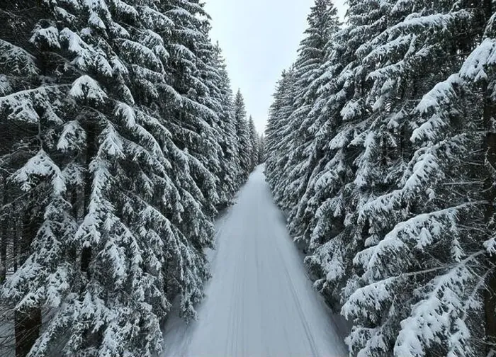Framed Print : Aerial drone view of the road in idyllic winter landscape nature in a dense forest with fresh snow Framed Print : Aerial drone view of the road in idyllic winter landscape nature in a dense forest with fresh snow