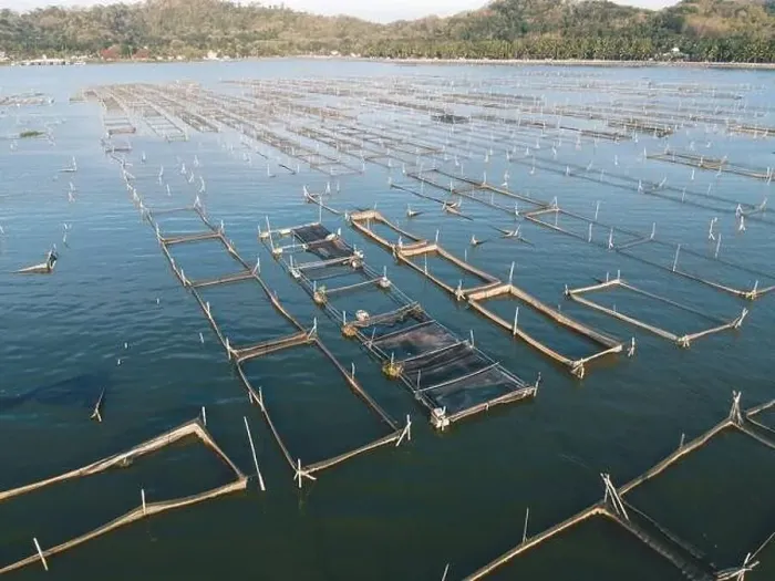 Framed Print : Aerial drone view of Rowo Jombro Lake with a lot of fish pond in Klaten, Indonesia Framed Print : Aerial drone view of Rowo Jombro Lake with a lot of fish pond in Klaten, Indonesia