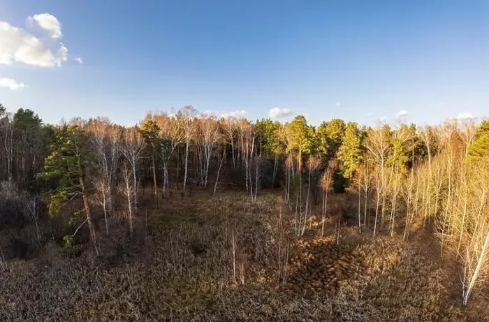 Framed Print : Aerial drone view of stunning colorful autumn fall forest. Drone Aerial View Concept Framed Print : Aerial drone view of stunning colorful autumn fall forest. Drone Aerial View Concept