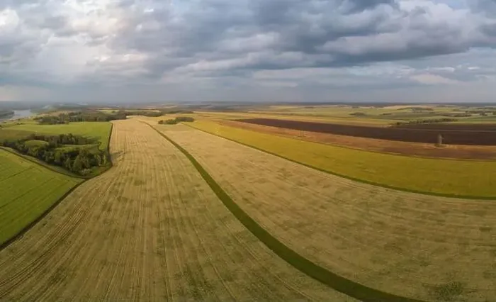 Framed Print : Aerial drone view of wheat field landscape in sunny summer evening Framed Print : Aerial drone view of wheat field landscape in sunny summer evening