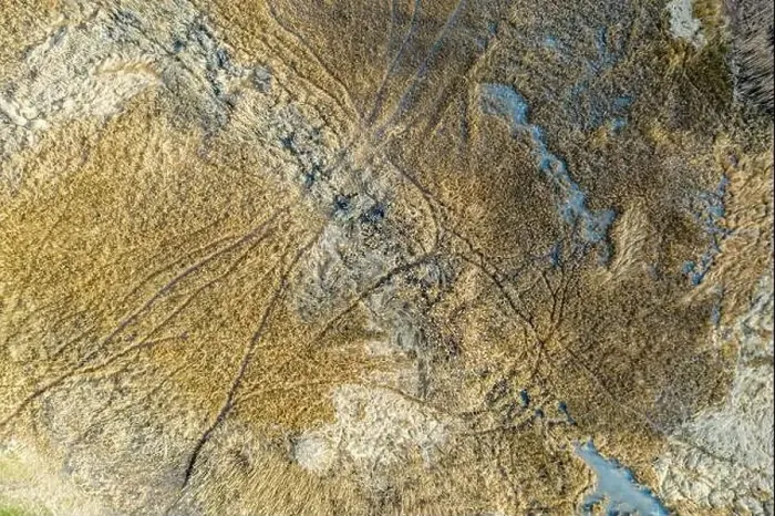 Framed Print : Aerial image of random paths used by deer in a winter landscape Framed Print : Aerial image of random paths used by deer in a winter landscape