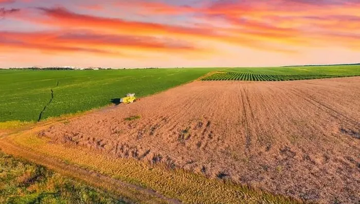 Framed Print : Aerial landscape photography. Combine harvester on the field of wheat Framed Print : Aerial landscape photography. Combine harvester on the field of wheat