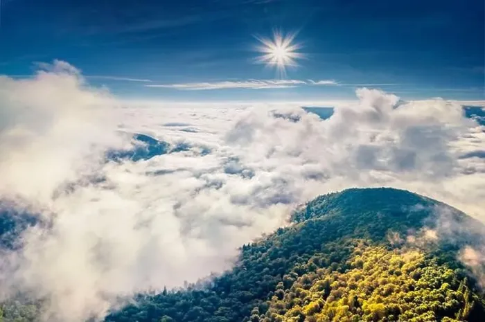 Framed Print : Aerial landscape photography. Foggy morning view from flying drone of mountain forest Framed Print : Aerial landscape photography. Foggy morning view from flying drone of mountain forest