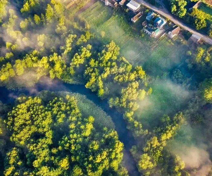 Framed Print : Aerial landscape photography. Straight down view from flying drone of small river on the foggy forest Framed Print : Aerial landscape photography. Straight down view from flying drone of small river on the foggy forest