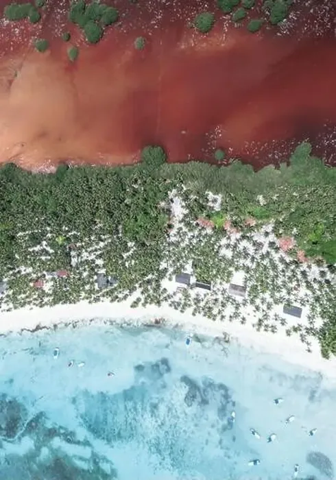 Framed Print : Aerial Nature Beach Drone Photo Framed Print : Aerial Nature Beach Drone Photo