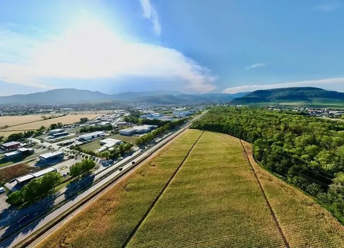 Framed Print : Aerial Panorama of Daweid Cornfields: Contested Transition from Agriculture to Activity Zone in Soultz-Haut-Rhin Framed Print : Aerial Panorama of Daweid Cornfields: Contested Transition from Agriculture to Activity Zone in Soultz-Haut-Rhin