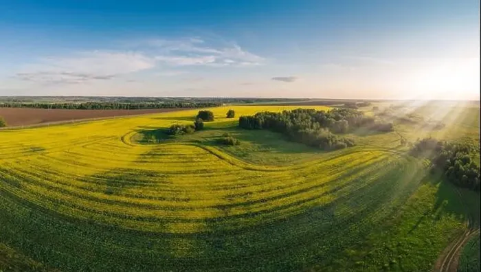 Framed Print : Aerial panorama of expansive, vibrant yellow canola fields in full bloom Framed Print : Aerial panorama of expansive, vibrant yellow canola fields in full bloom