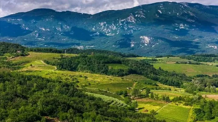 Framed Print : Aerial Panorama of Green Vineyards and Hills in Vipava Valley, Slovenia Framed Print : Aerial Panorama of Green Vineyards and Hills in Vipava Valley, Slovenia