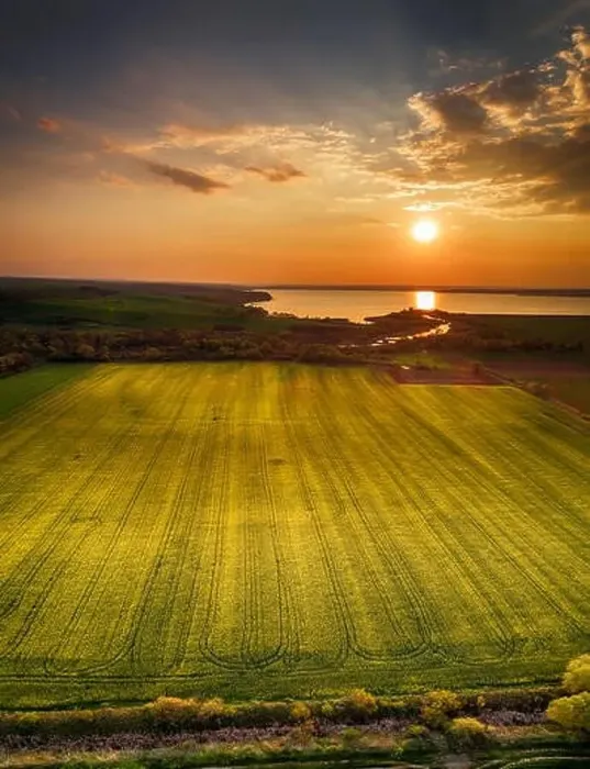 Framed Print : Aerial panorama taken with flying drone with yellow rapeseed field and agricultural land at sunset Framed Print : Aerial panorama taken with flying drone with yellow rapeseed field and agricultural land at sunset
