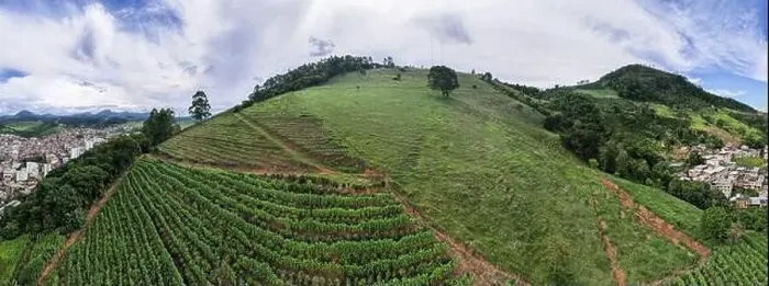 Framed Print : Aerial panoramic drone view of a coffee plantation in Manhuacu, Minas Gerais, Brazil Framed Print : Aerial panoramic drone view of a coffee plantation in Manhuacu, Minas Gerais, Brazil