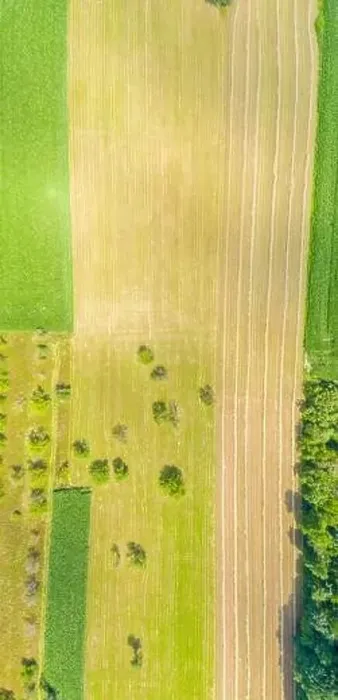 Framed Print : Top aerial panoramic view of green fields and meadows in summer