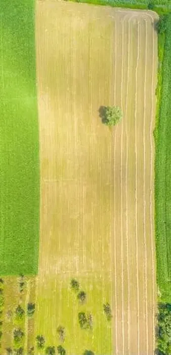 Framed Print : Top aerial panoramic view of green fields and meadows in summer Framed Print : Top aerial panoramic view of green fields and meadows in summer