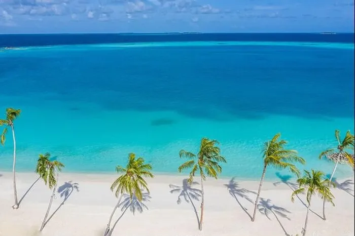 Framed Print : Aerial paradise scenery. Tropical aerial landscape, seascape with palm leaves shadows amazing sea and lagoon beach, tropical nature. Exotic tourism