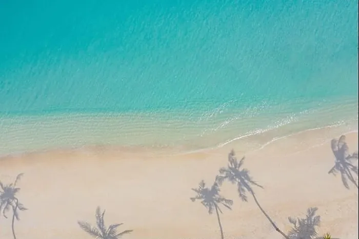 Framed Print : Aerial paradise scenery. Tropical aerial landscape, seascape with palm leaves shadows amazing sea and lagoon beach, tropical nature. Exotic tourism